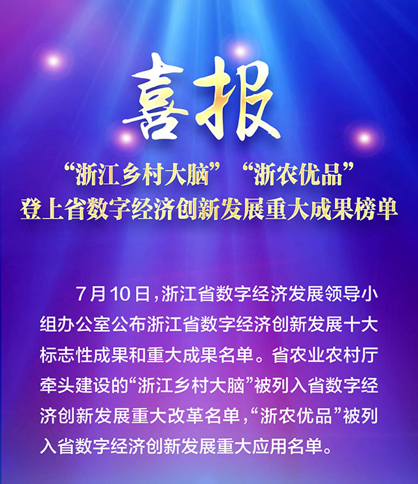 喜報！“浙江鄉村大腦”登上省數字經濟創新發展重大成果榜單